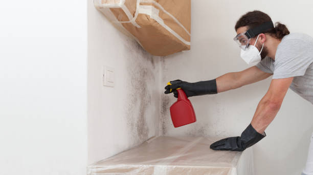 Professional Mold Testing technician working in Fair Haven, NY